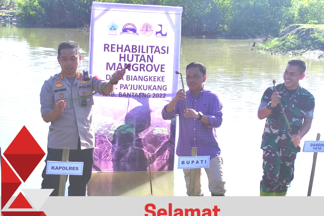 Hari Lingkungan Sedunia, Bantaeng Melakukan Penanaman Mangrove