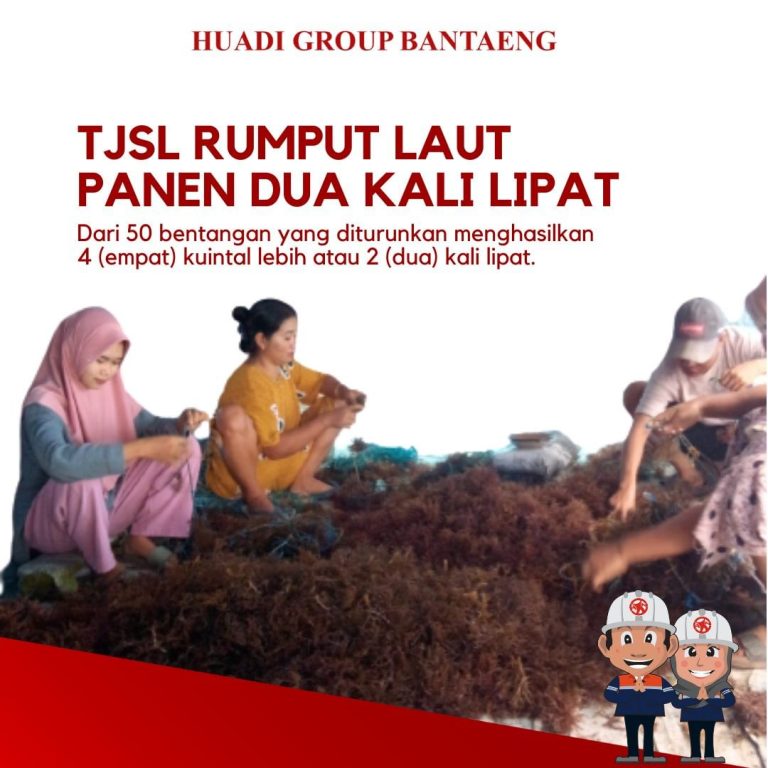 TJSL-Rumput-laut-Huadi-Group-3